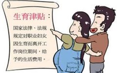 濟南生育津貼計發方式