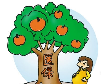 政府負責人答疑：大學生醫保報銷為何難