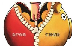 岳陽擬進行生育保險與醫療保險合并試點