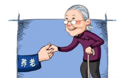 2017年度城鄉居民養老保險個人繳費標準、政府最