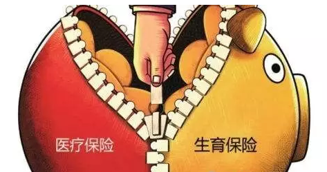 生育、醫療保險合并實施試點