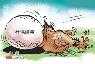 公司繳納的社保，還不如換成現金給我合適，這樣真的對嗎？